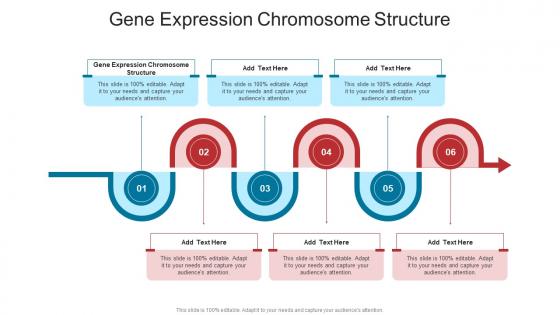 Gene Expression Chromosome Structure In Powerpoint And Google Slides Cpb