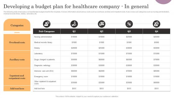 General Management Developing A Budget Plan For Healthcare Company Sample Pdf