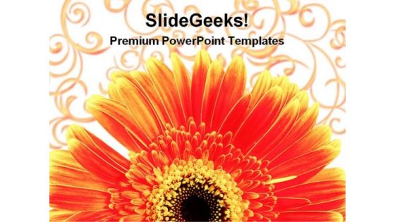 Gerber Daisy With Background Design PowerPoint Templates And PowerPoint Backgrounds 0311
