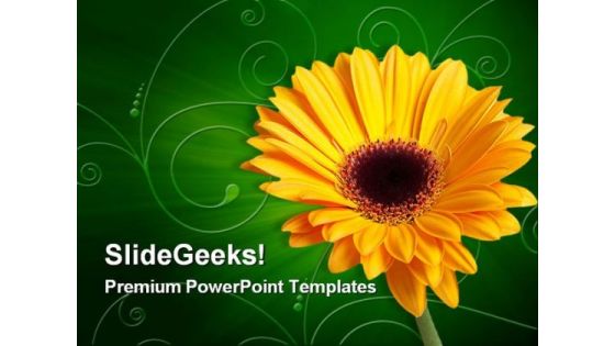 Gerber Yellow Flower Beauty PowerPoint Themes And PowerPoint Slides 0311