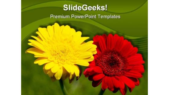 Gerbera Flower Nature PowerPoint Template 1110