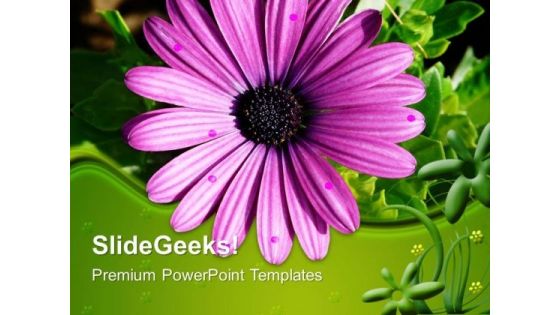 Gerbera Flower Nature PowerPoint Templates And PowerPoint Themes 0512