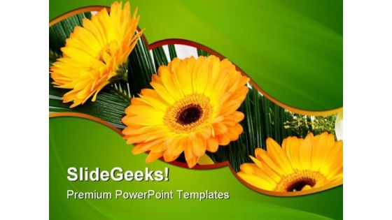 Gerbers Flowers Beauty PowerPoint Templates And PowerPoint Backgrounds 0511