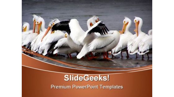 Gimme A Hug Animals PowerPoint Themes And PowerPoint Slides 0511