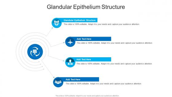 Glandular Epithelium Structure In Powerpoint And Google Slides Cpb