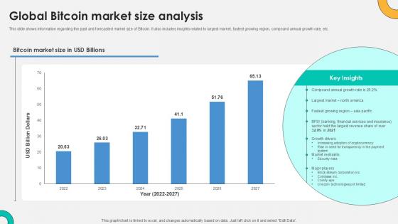 Global Bitcoin Market Size Analysis Everything About Bitcoin PPT PowerPoint Fin SS V