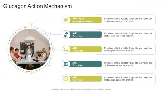 Glucagon Action Mechanism In Powerpoint And Google Slides Cpb