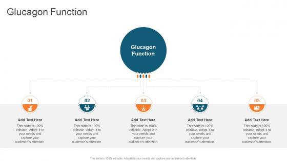 Glucagon Function In Powerpoint And Google Slides Cpb