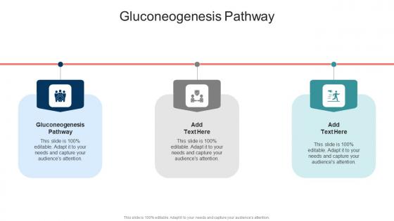 Gluconeogenesis Pathway In Powerpoint And Google Slides Cpb