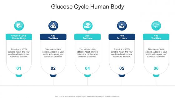 Glucose Cycle Human Body In Powerpoint And Google Slides Cpb