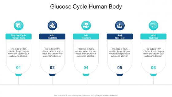 Glucose Cycle Human Body In Powerpoint And Google Slides Cpb