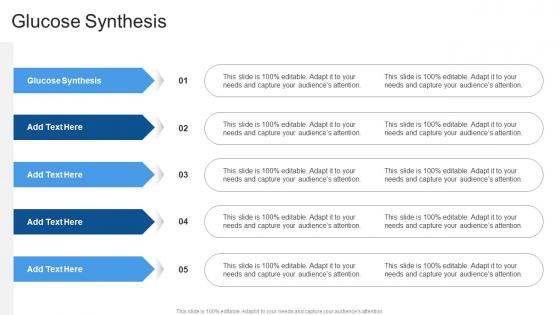 Glucose Synthesis In Powerpoint And Google Slides Cpb