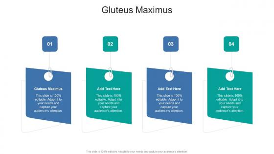 Gluteus Maximus In Powerpoint And Google Slides Cpb