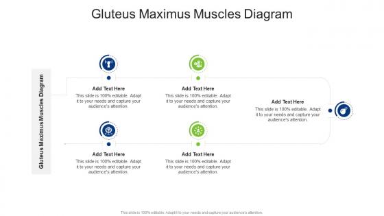 Gluteus Maximus Muscles Diagram In Powerpoint And Google Slides Cpb