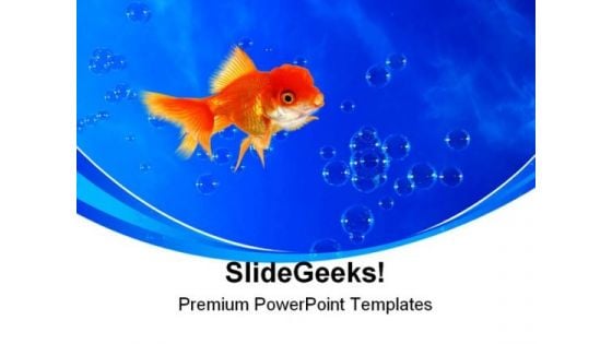 Golden Fish02 Animals PowerPoint Templates And PowerPoint Backgrounds 0211