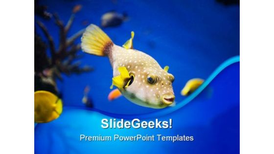 Golden Fish Animals PowerPoint Templates And PowerPoint Backgrounds 0211