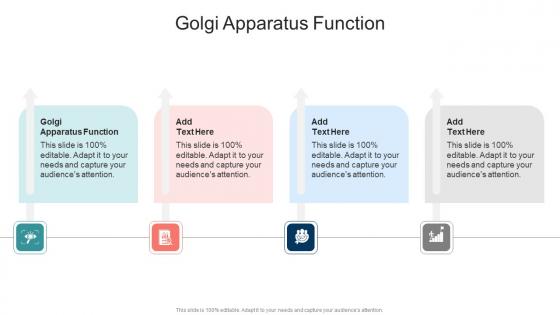 Golgi Apparatus Function In Powerpoint And Google Slides Cpb