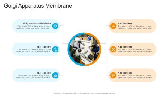 Golgi Apparatus Membrane In Powerpoint And Google Slides Cpb