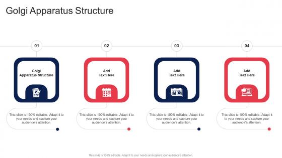 Golgi Apparatus Structure In Powerpoint And Google Slides Cpb