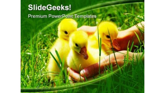 Gosling Animals PowerPoint Themes And PowerPoint Slides 0211