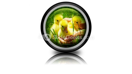 Gosling PowerPoint Icon Cc