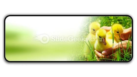 Gosling PowerPoint Icon R Gosling PowerPoint Icon R