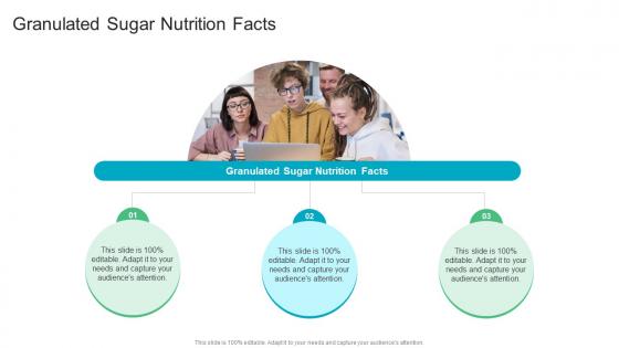 Granulated Sugar Nutrition Facts In Powerpoint And Google Slides Cpb