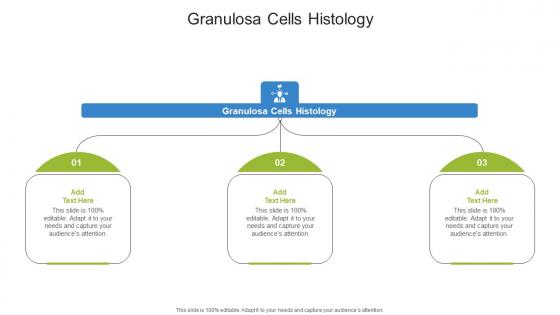 Granulosa Cells Histology In Powerpoint And Google Slides Cpb Granulosa Cells Histology In Powerpoint And Google Slides Cpb