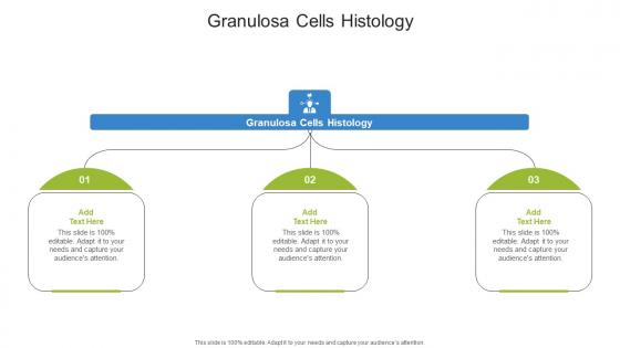 Granulosa Cells Histology In Powerpoint And Google Slides Cpb