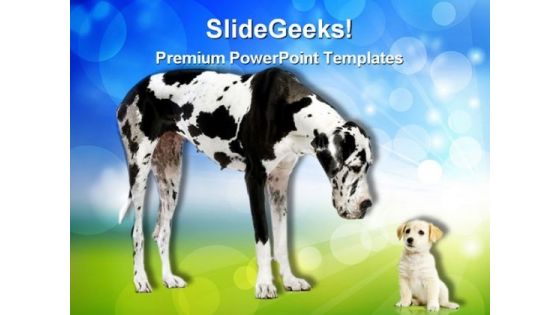 Great Dane Harlequin Animals PowerPoint Templates And PowerPoint Backgrounds 0311