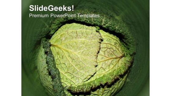 Green Background For Nature Theme PowerPoint Templates Ppt Backgrounds For Slides 0513 Green Background For Nature Theme PowerPoint Templates Ppt Backgrounds For Slides 0513