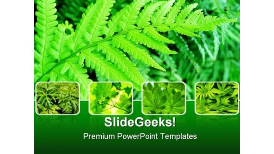 Green Fern Bushes Nature PowerPoint Templates And PowerPoint Backgrounds 0411