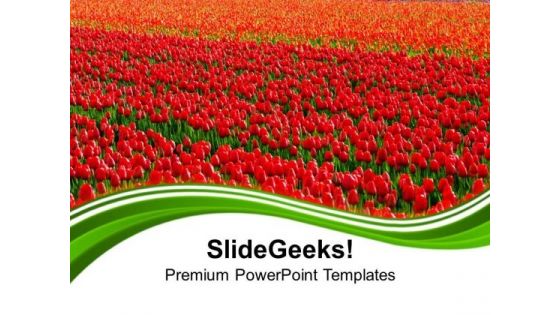 Green Fields Of Red Tulips PowerPoint Templates Ppt Backgrounds For Slides 0213