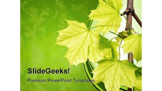 Green Maple Leaves Nature PowerPoint Themes And PowerPoint Slides 0511