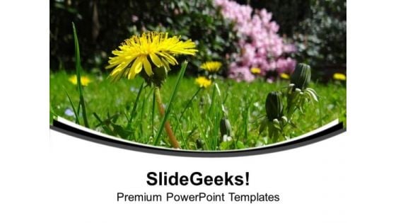 Green Medow With Daisy Flower PowerPoint Templates Ppt Backgrounds For Slides 0713