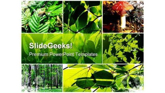 Green Summer Forest Collage Nature PowerPoint Templates And PowerPoint Backgrounds 0611