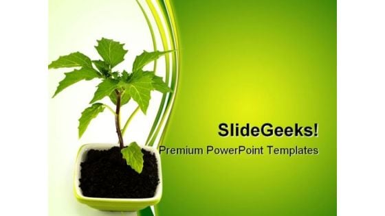 Growing Green Plant Nature PowerPoint Templates And PowerPoint Backgrounds 0511