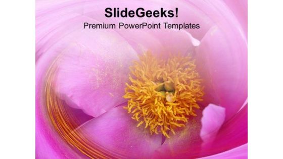 Growing Peonies Floral Beauty PowerPoint Templates Ppt Backgrounds For Slides 0513