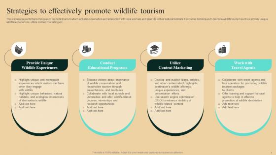 Guide To Winning Tourism Strategies To Effectively Promote Wildlife Tourism Brochure Pdf