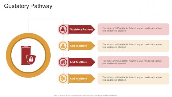 Gustatory Pathway In Powerpoint And Google Slides Cpb