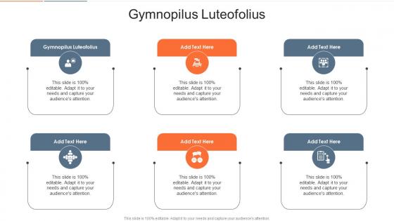 Gymnopilus Luteofolius In Powerpoint And Google Slides Cpb