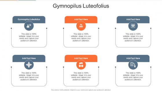 Gymnopilus Luteofolius In Powerpoint And Google Slides Cpb Gymnopilus Luteofolius In Powerpoint And Google Slides Cpb