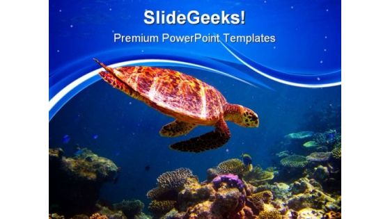 Hawksbill Turtle Swimming Animals PowerPoint Templates And PowerPoint Backgrounds 0511