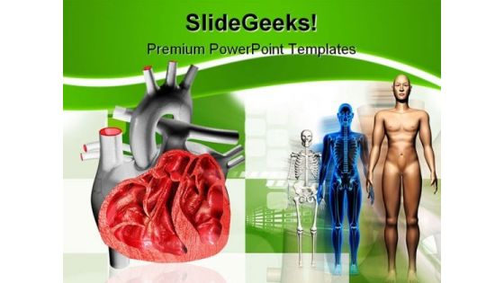 Heart Human Medical PowerPoint Backgrounds And Templates 1210