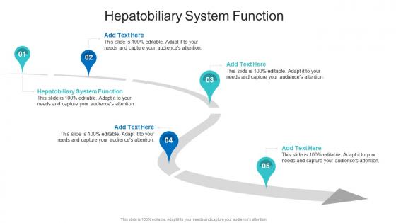Hepatobiliary System Function In Powerpoint And Google Slides Cpb Hepatobiliary System Function In Powerpoint And Google Slides Cpb