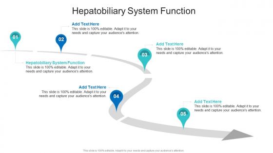 Hepatobiliary System Function In Powerpoint And Google Slides Cpb