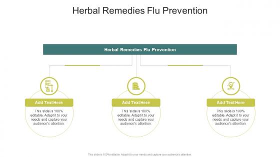 Herbal Remedies Flu Prevention In Powerpoint And Google Slides Cpb