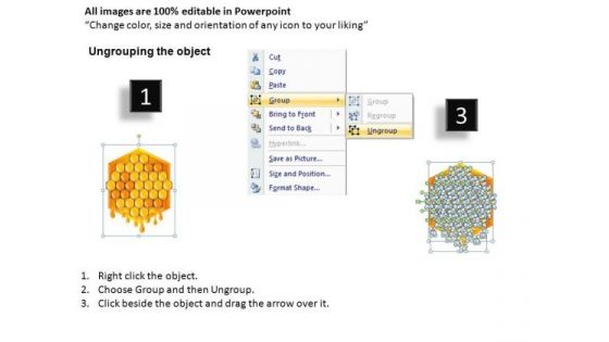 Hexagonal Honey Comb Concept PowerPoint Templates Editable Ppt Slides