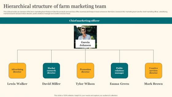 Hierarchical Structure Of Farm Marketing Team Agricultural Product Promotion Professional Pdf