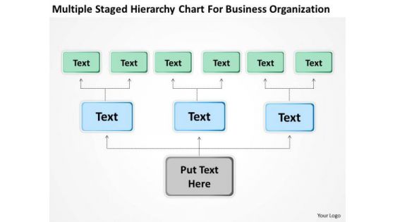 Hirerchy Chart For Business Organization Ppt Plan Template PowerPoint Templates